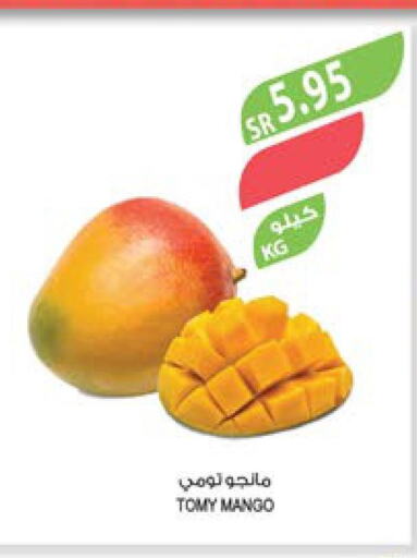  Peach  in المزرعة in مملكة العربية السعودية, السعودية, سعودية - تبوك