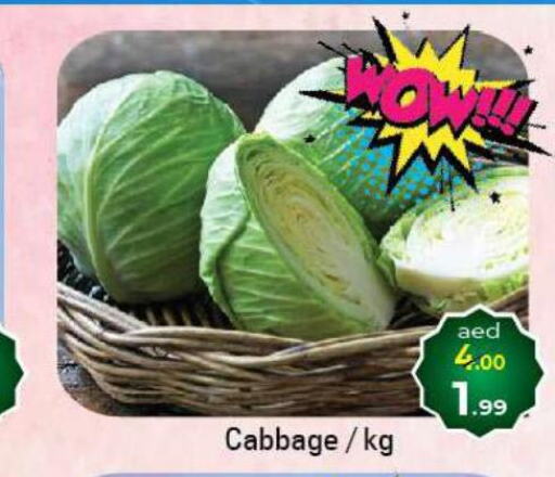  Cabbage  in سوق المبارك هايبرماركت in الإمارات العربية المتحدة , الامارات - الشارقة / عجمان