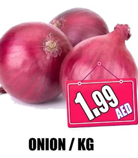  Onion  in GRAND MAJESTIC HYPERMARKET in الإمارات العربية المتحدة , الامارات - أبو ظبي