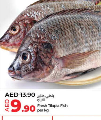  King Fish  in لولو هايبرماركت in الإمارات العربية المتحدة , الامارات - أم القيوين‎