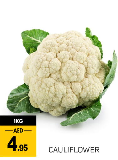  Cauliflower  in سوق طلال in الإمارات العربية المتحدة , الامارات - دبي