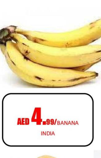  Banana  in جفت داي هايبرماركت in الإمارات العربية المتحدة , الامارات - الشارقة / عجمان