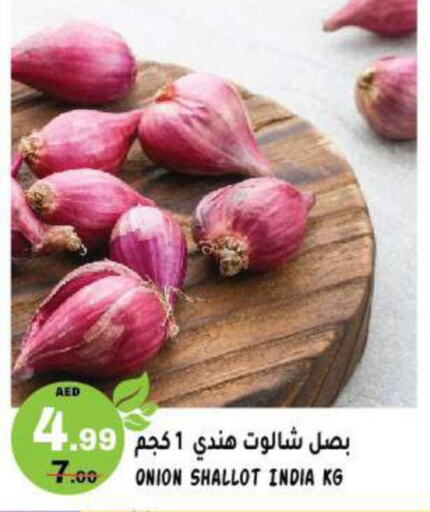  Onion  in هاشم هايبرماركت in الإمارات العربية المتحدة , الامارات - الشارقة / عجمان