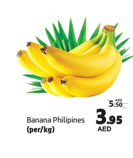  Banana  in الحوت  in الإمارات العربية المتحدة , الامارات - الشارقة / عجمان