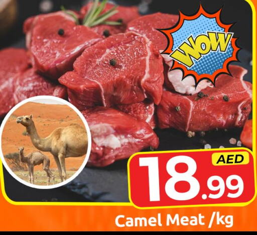  Camel meat  in مبارك هايبرماركت الشارقة in الإمارات العربية المتحدة , الامارات - الشارقة / عجمان