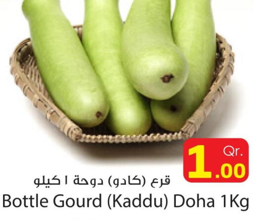  Gourd  in دانة إكسبرس in قطر - الضعاين