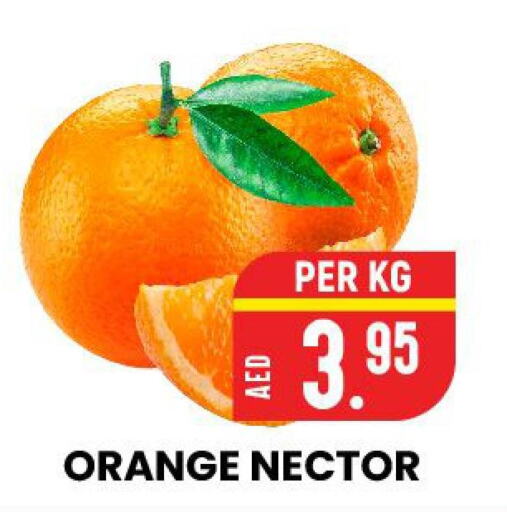  Orange  in الامل هايبرماركت in الإمارات العربية المتحدة , الامارات - رَأْس ٱلْخَيْمَة