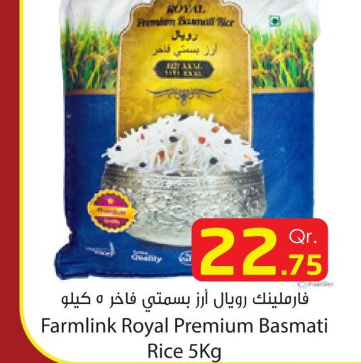  Basmati / Biryani Rice  in Dana Express in Qatar - Al-Shahaniya