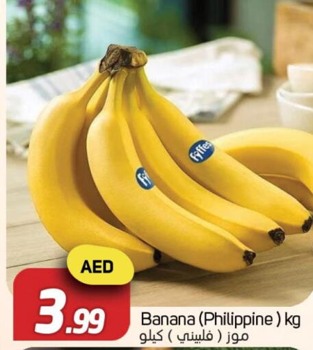  Banana  in سوق المبارك هايبرماركت in الإمارات العربية المتحدة , الامارات - الشارقة / عجمان