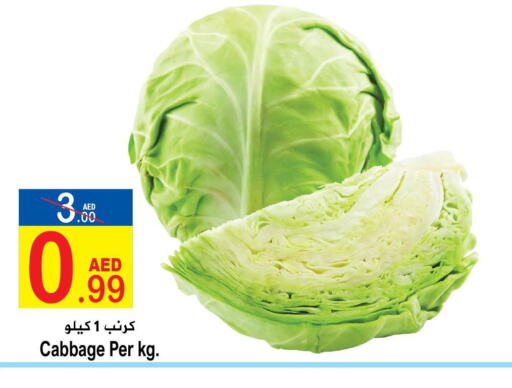  Cabbage  in سن اند ساند هايبر ماركت ذ.م.م in الإمارات العربية المتحدة , الامارات - رَأْس ٱلْخَيْمَة