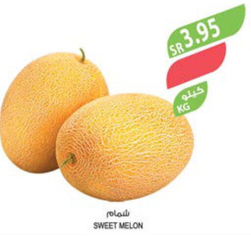  Sweet melon  in المزرعة in مملكة العربية السعودية, السعودية, سعودية - سيهات