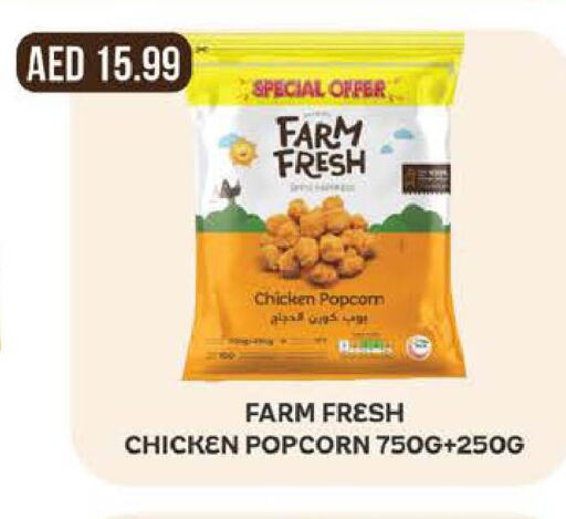 FARM FRESH Chicken Pop Corn  in West Zone Supermarket in UAE - Abu Dhabi