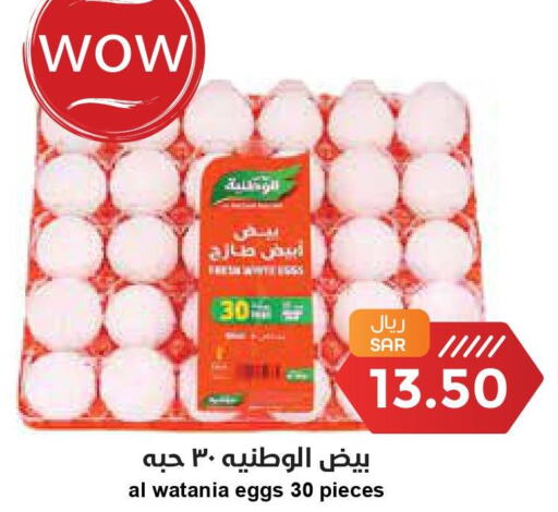 AL AMEEN   in Consumer Oasis in KSA, Saudi Arabia, Saudi - Riyadh