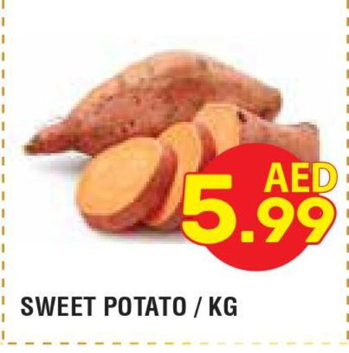  Sweet Potato  in سوبرماركت هوم فريش ذ.م.م in الإمارات العربية المتحدة , الامارات - أبو ظبي