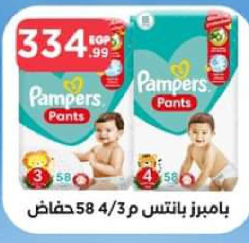Pampers   in El Mahlawy Stores in Egypt - Cairo