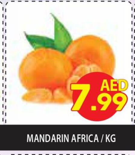  Orange  in سوبرماركت هوم فريش ذ.م.م in الإمارات العربية المتحدة , الامارات - أبو ظبي
