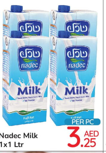NADEC Other Milk  in Day to Day Department Store in UAE - Dubai