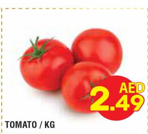  Tomato  in سوبرماركت هوم فريش ذ.م.م in الإمارات العربية المتحدة , الامارات - أبو ظبي