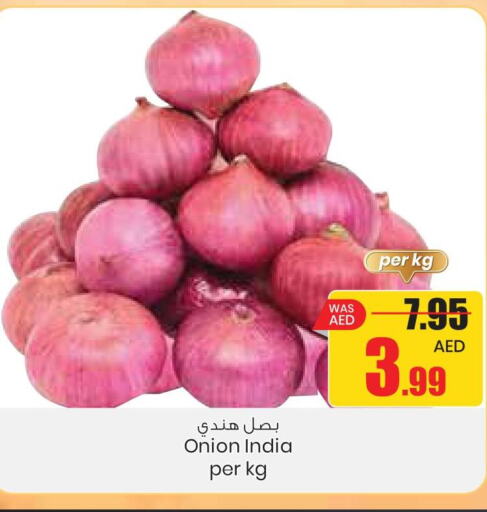  Onion  in جمعية القوات المسلحة التعاونية (أفكوب) in الإمارات العربية المتحدة , الامارات - أبو ظبي