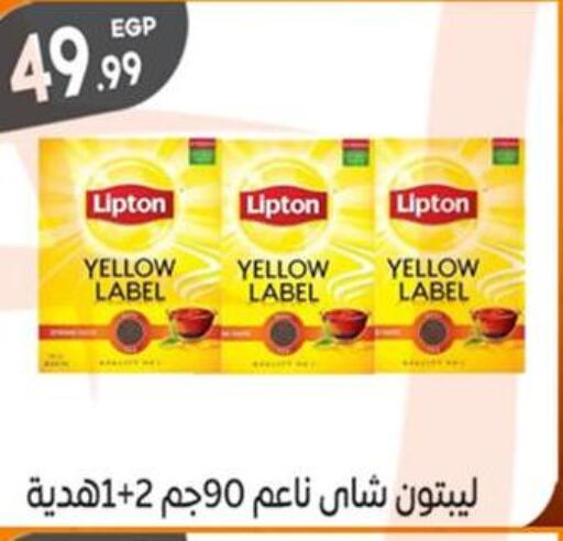 Lipton   in El mhallawy Sons in Egypt - Cairo