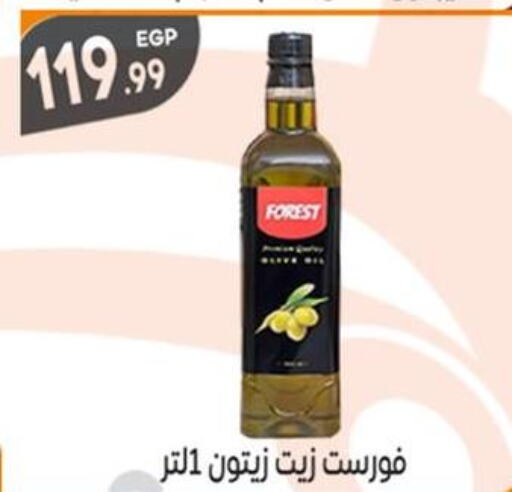  Olive Oil  in أولاد المحاوى in Egypt - القاهرة