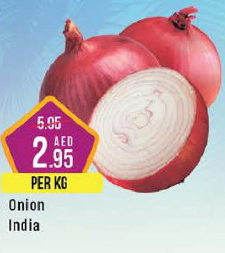  Onion  in ويست زون سوبرماركت in الإمارات العربية المتحدة , الامارات - الشارقة / عجمان