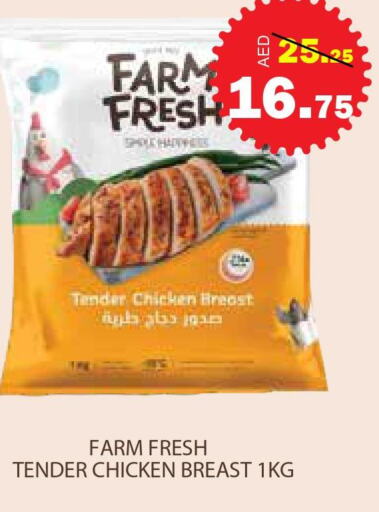 FARM FRESH Chicken Breast  in الأسواق هايبرماركت in الإمارات العربية المتحدة , الامارات - رَأْس ٱلْخَيْمَة