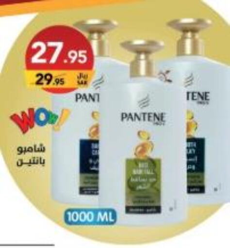 PANTENE Shampoo / Conditioner  in Ala Kaifak in KSA, Saudi Arabia, Saudi - Hafar Al Batin