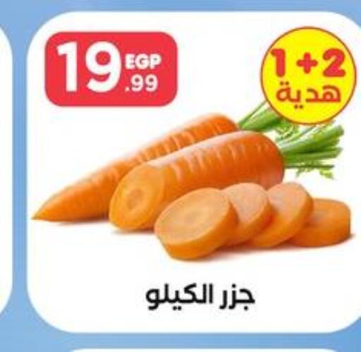  Carrot  in مارت فيل in Egypt - القاهرة