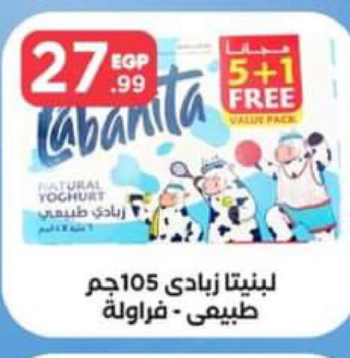  Yoghurt  in المحلاوي ستورز in Egypt - القاهرة