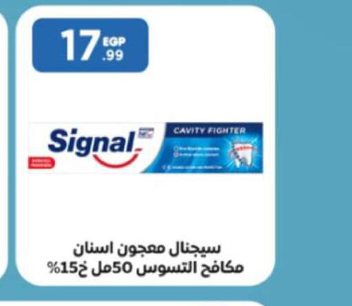 SIGNAL Toothpaste  in المحلاوي ستورز in Egypt - القاهرة