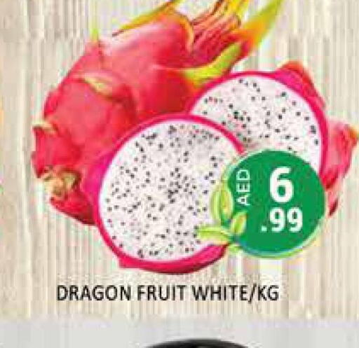  Dragon fruits  in مجموعة باسونس in الإمارات العربية المتحدة , الامارات - دبي