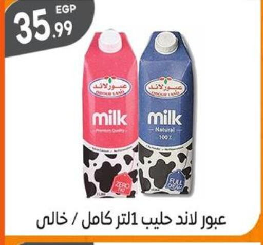  Flavoured Milk  in El mhallawy Sons in Egypt - Cairo