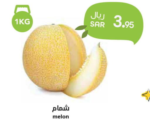  Sweet melon  in واحة المستهلك in مملكة العربية السعودية, السعودية, سعودية - الرياض