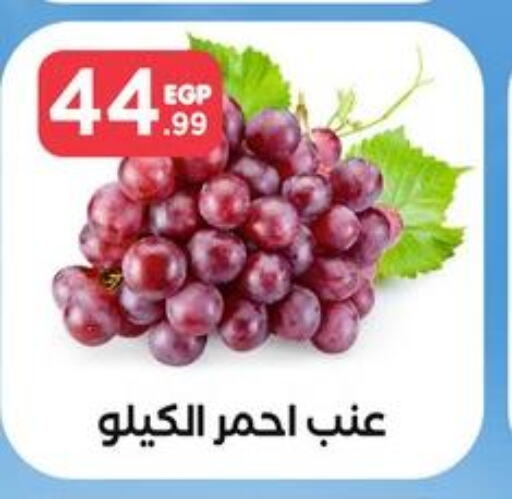  Grapes  in مارت فيل in Egypt - القاهرة