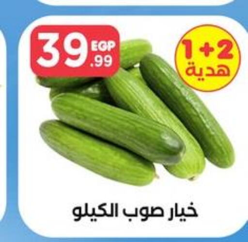  Cucumber  in مارت فيل in Egypt - القاهرة