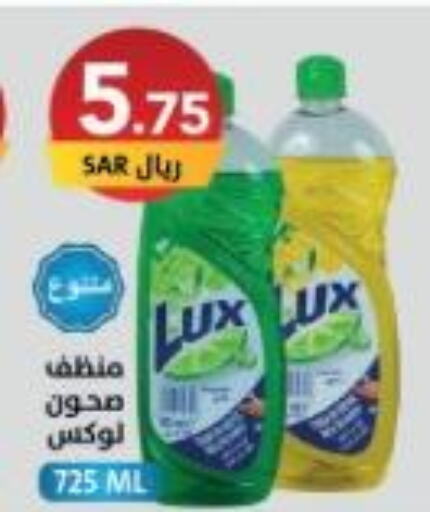 LUX   in Ala Kaifak in KSA, Saudi Arabia, Saudi - Al-Kharj