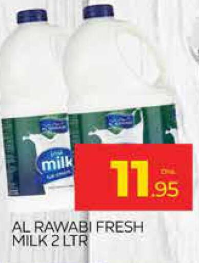  Fresh Milk  in AL MADINA (Dubai) in UAE - Dubai