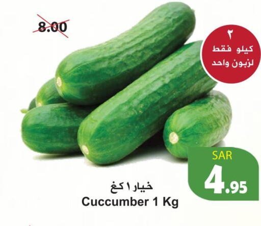  Cucumber  in هايبر بشيه in مملكة العربية السعودية, السعودية, سعودية - جدة