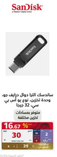 SANDISK Flash Drive  in إكسترا in مملكة العربية السعودية, السعودية, سعودية - جازان