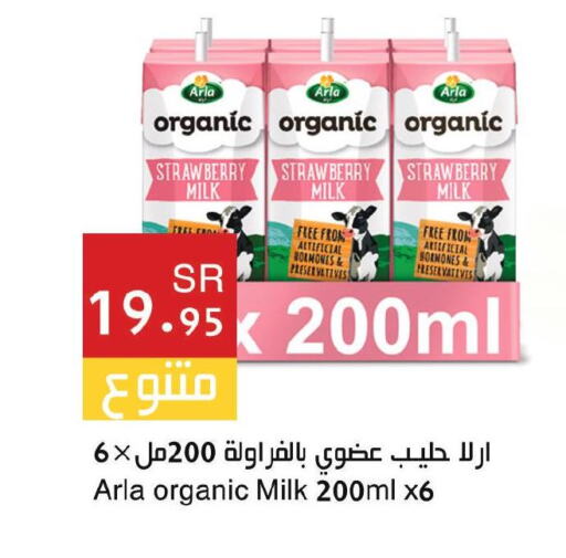 Flavoured Milk  in اسواق هلا in مملكة العربية السعودية, السعودية, سعودية - مكة المكرمة