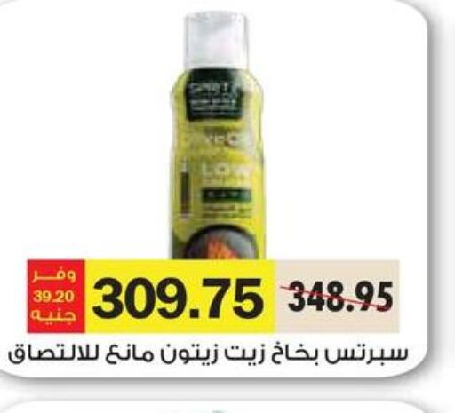  Olive Oil  in رويال هاوس in Egypt - القاهرة
