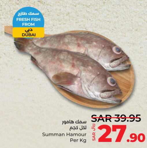  King Fish  in LULU Hypermarket in KSA, Saudi Arabia, Saudi - Al Hasa