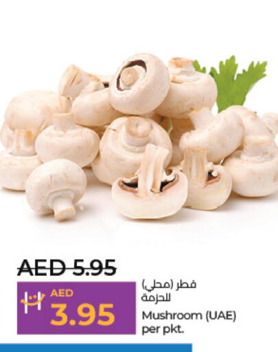  Mushroom  in Lulu Hypermarket in UAE - Abu Dhabi