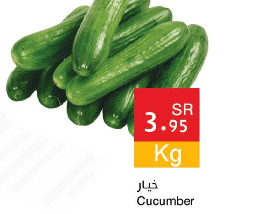  Cucumber  in اسواق هلا in مملكة العربية السعودية, السعودية, سعودية - جدة