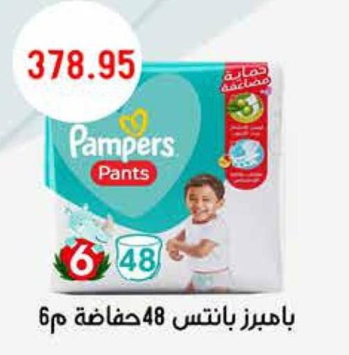 Pampers   in Royal House in Egypt - Cairo