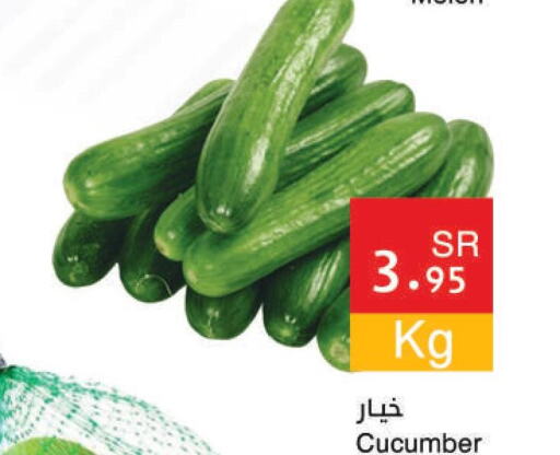  Cucumber  in اسواق هلا in مملكة العربية السعودية, السعودية, سعودية - المنطقة الشرقية