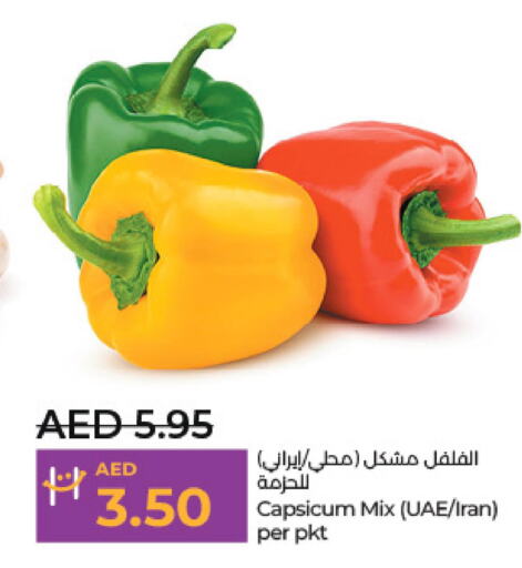  Chilli / Capsicum  in Lulu Hypermarket in UAE - Abu Dhabi