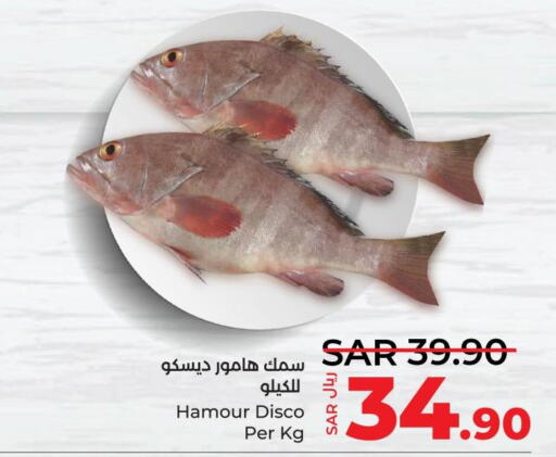  King Fish  in LULU Hypermarket in KSA, Saudi Arabia, Saudi - Riyadh