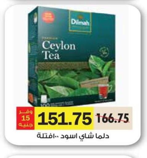 DILMAH Tea Powder  in رويال هاوس in Egypt - القاهرة